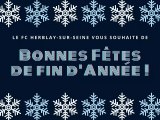 Bonnes Fêtes de fin d'année