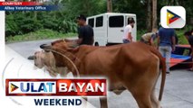 Mga nakatira sa 7KM extended danger zone, pinaalalahanang lumikas kapag itinaas sa Alert Level 4 ang Mayon