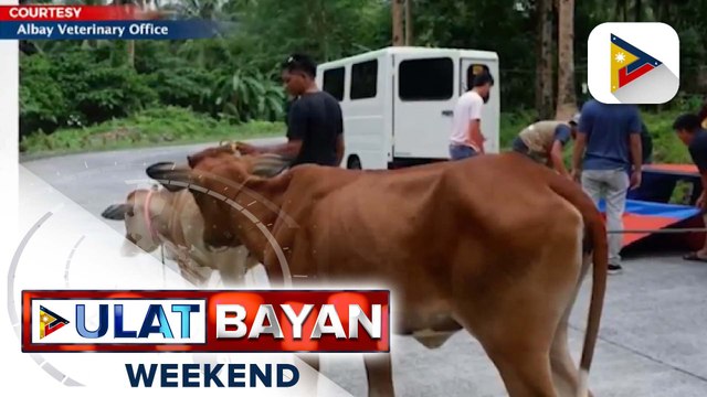 Mga nakatira sa 7KM extended danger zone, pinaalalahanang lumikas kapag itinaas sa Alert Level 4 ang Mayon