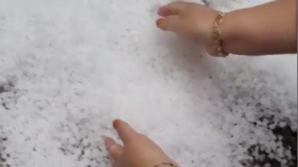 이틀째 내린 우박..."일부 농가 피해" / YTN