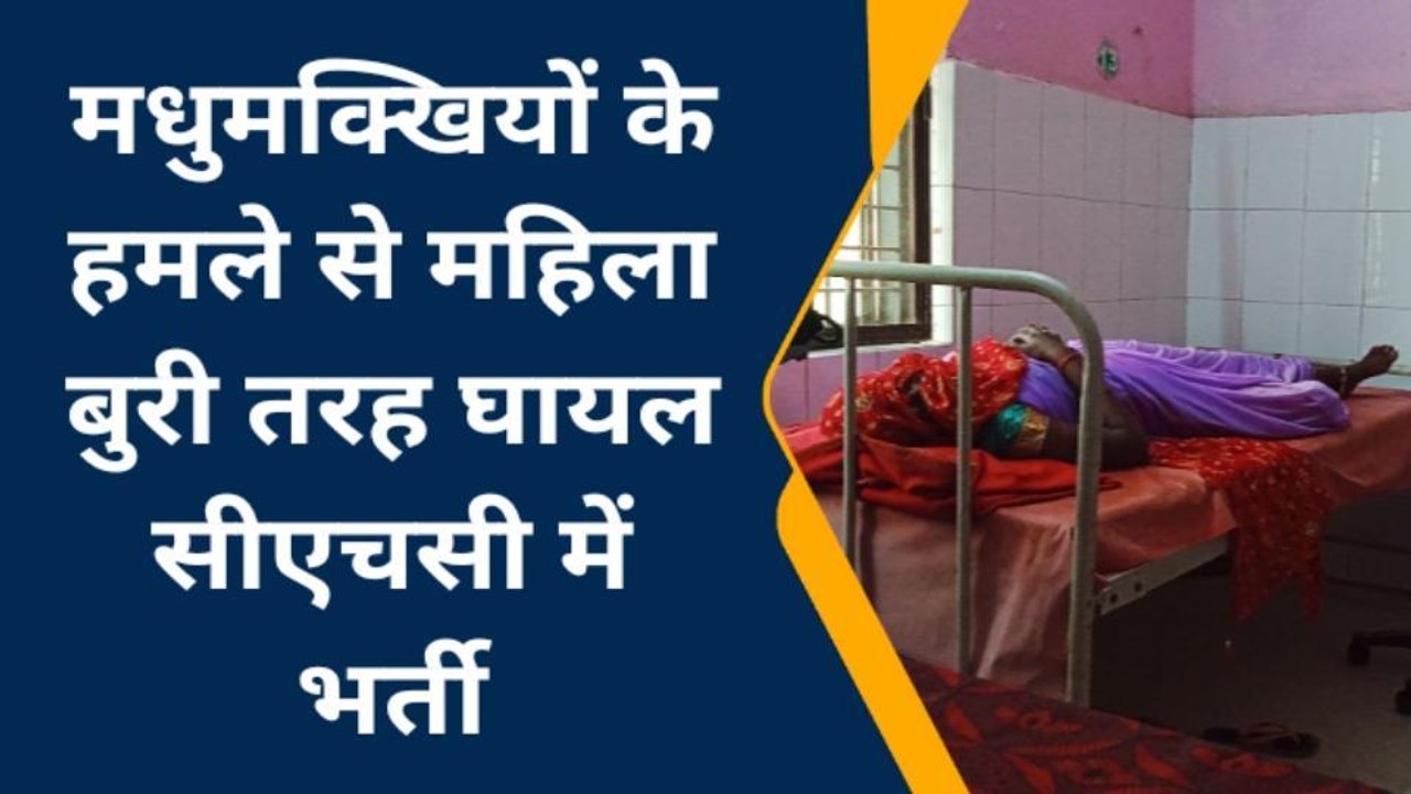 चित्रकूट: मधुमक्खियों के झुंड ने महिला पर बोला हमला, अब हुआ ये हाल