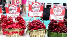 Les meilleures cerises et leurs vergers ont été sélectionnés au Festival international de la cerise à Tekirdağ