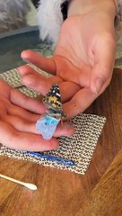 The Most Amazing Rescue Ever! She Saved A Butterfly And Repaired Its Wing!