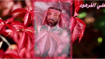 من أروع تلاوات القران الكريم قناة علي الفرهود