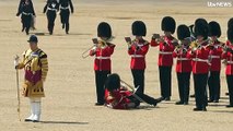 Guarda real desmaia de calor durante ensaio para aniversário do Rei da Inglaterra