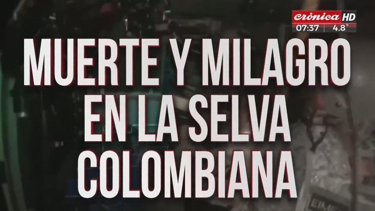 Tras 40 días perdidos en la selva, encontraron...