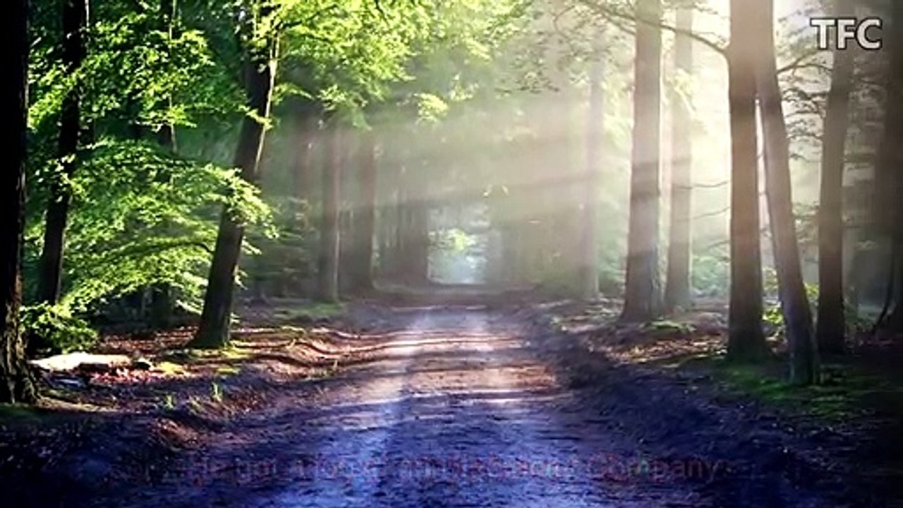 Really Inspiring & Best Motivational Video Story Ever in English by TFC _ BELIEVE IN YOURSELF