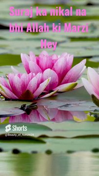 #Beautiful Hamd#Suraj ka Nikalna#Youtube#Shorts#Shorts with lyrics#Short lyrics# Scenes with lyrics#