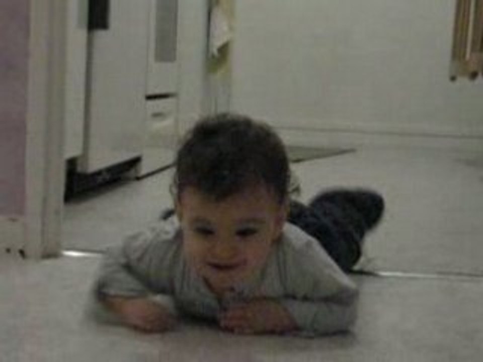 loane