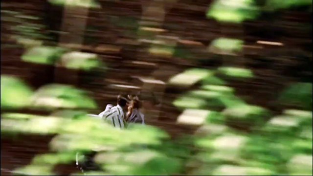 The Secret Lives of Dentists Bande-annonce (EN)