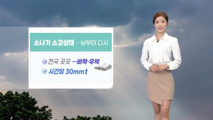 [날씨] 낮부터 전국 곳곳 소나기...벼락·돌풍·우박 주의 / YTN
