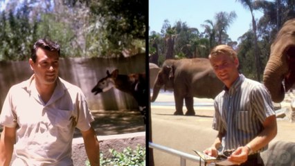 Rock Hudson All That Heaven Allowed