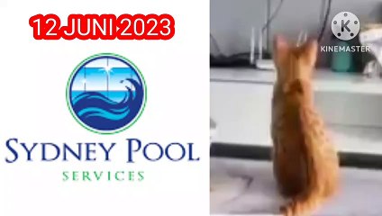 sydney lottery prediction 12 june 2023