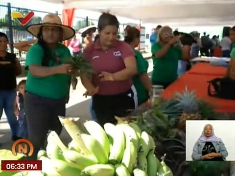800 productores son favorecidos con 8 toneladas de semillas de maíz en el estado Carabobo