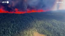 Incendi in Canada, il rogo nei boschi presso la cittadina di Tumbler Ridge