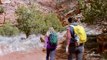 Love in Zion National: A National Park Romance Bande-annonce (EN)