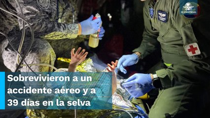 Con una ración de comida, así sobrevivieron 15 días los niños perdidos en la selva de Colombia