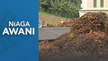 Niaga AWANI: Niaga hadapan MSM dijangka diniagakan dalam jajaran kecil minggu ini