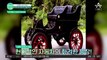 [차차차] 우리나라 첫 국산차는? 한국 최초 독자 생산 모델 '포니' 자동차 #자동차 #차