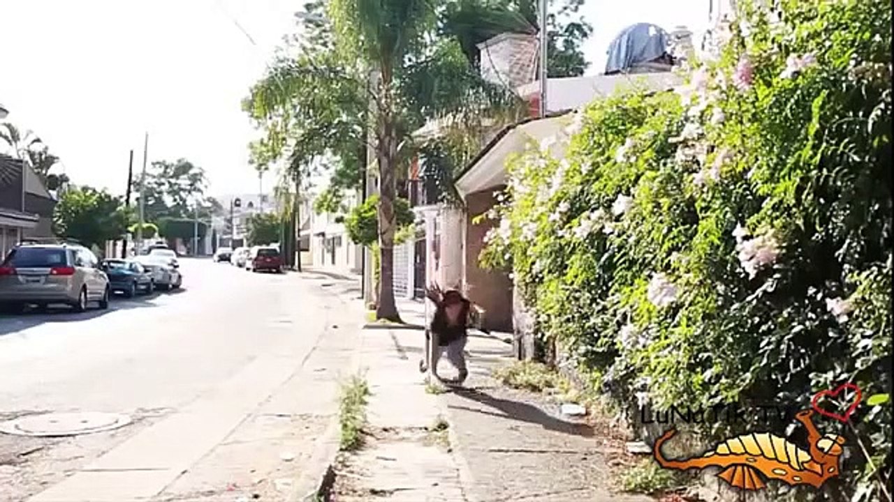 Epic extreme funny fail Compilation