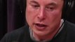 Elon Musk TROLLS Apple Vision Pro! | Elon Musk Apple Interesting News Shorts Facts #shorts