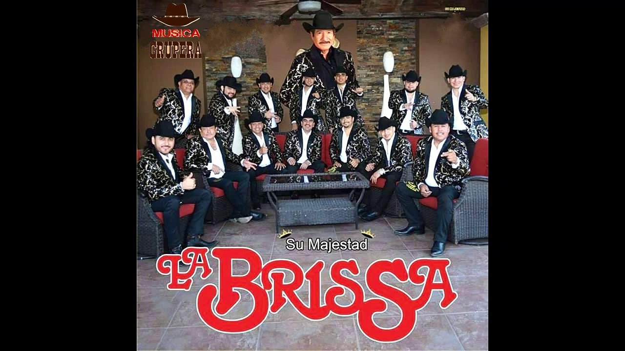 Cumbia Del Sapito --- La Brissa