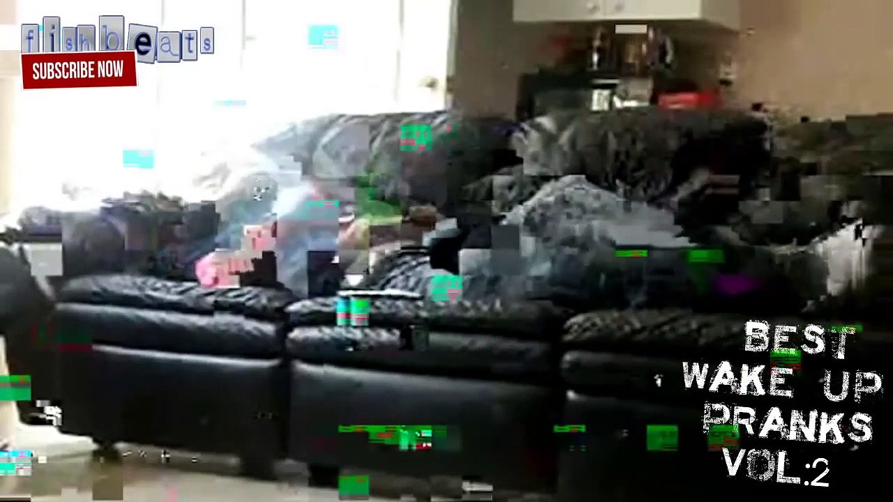 Best Wake Up Pranks Ever Compilation Vidéo Dailymotion