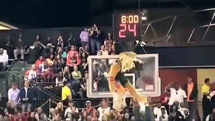 Funny Fights, fails and celebrations from the world of sporting mascots Compilation