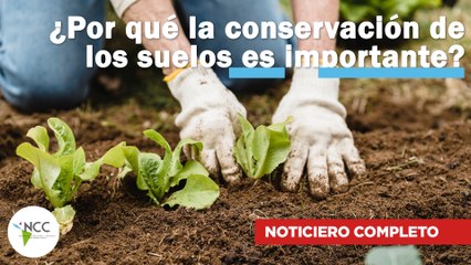 ¿Por qué la conservación de los suelos es importante? | 558 | 12 al 18 de junio 2023