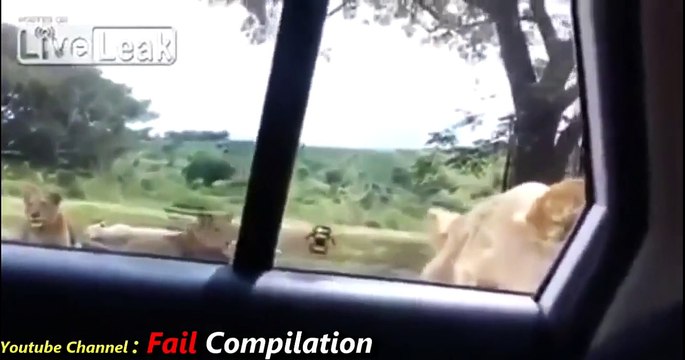 BULLY FAIL INSTANT JUSTICE 2015 BULLY GETS OWNED INSTANT KARMA EPIC FAIL COMPILATION APRIL 5 2015