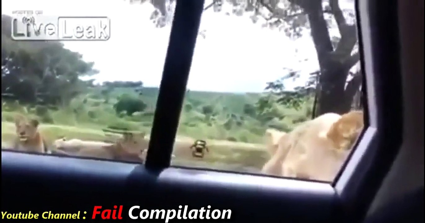 BULLY FAIL INSTANT JUSTICE 2015 BULLY GETS OWNED INSTANT KARMA EPIC FAIL COMPILATION APRIL 5 2015