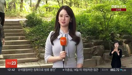 [날씨] 낮더위 계속…곳곳 요란한 소나기·우박 주의