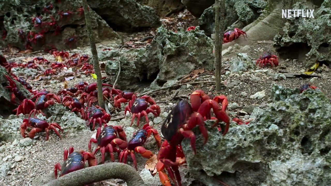 Unser planet staffel 2