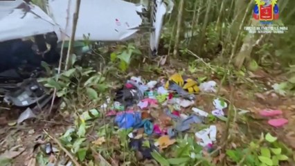 Amazonie : des enfants retrouvés après quarante jours dans la jungle