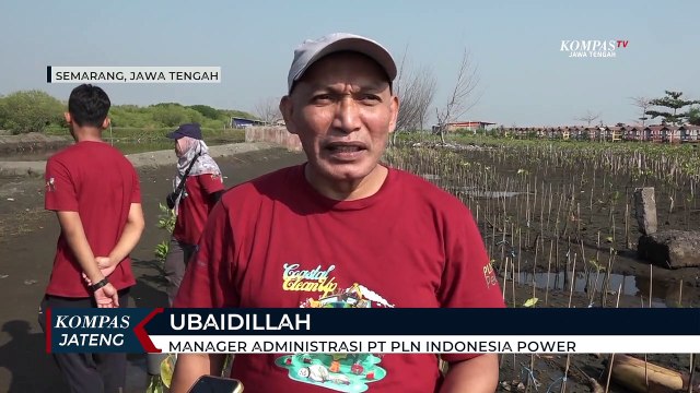 Cegah Abrasi, Tanam Mangrove dan Bersih-bersih Pantai