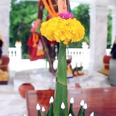 เลขปู่ผ่าน 16 มิถุนายน 2566 #เลขปู่ผ่าน