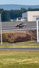 Alce abatido depois de entrar em aeroporto no Connecticut