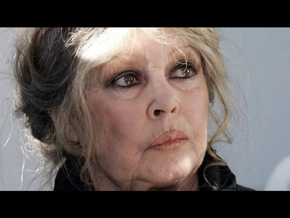 Pamela Anderson revient sur sa touchante conversation avec Brigitte Bardot