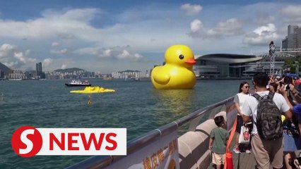 Ducking out: Hong Kong inflatable duck art deflates