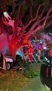 #EnVivo Impresionante choque sobre Calzada Lázaro Cárdenas y Cruz del Sur; auto queda arriba de un árbol
