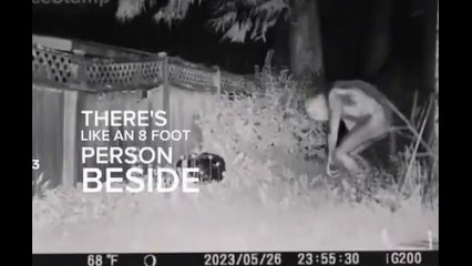 L'image de «l'extraterrestre» prétendument prise dans l'arrière-cour d'une famille aux États-Unis a semé la confusion