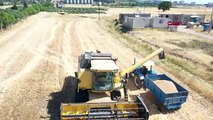 Gaziantep'te Buğday ve Arpa Hasadı Sürüyor