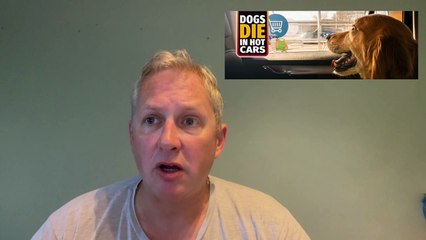 Mansfield Chad news bulletin 12th June