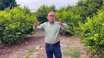 Limon üreticisinin sorunlarını dile getiren CHP Milletvekili Çakır: Böyle giderse bahçeleri satacağız