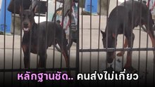 พัสดุเสียหายอย่าเพิ่งโทษคนส่ง คลิปนี้หลักฐานมัด.. โทษคนส่งไม่ได้ !!