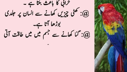 Aurton Ke Dil Ki Batain In Totkon Main _ Gharelu Totkay