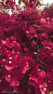 The city of Joy, love and culture | Explore kolkata | Travel | AeronFly | Make Your Safar Suhana