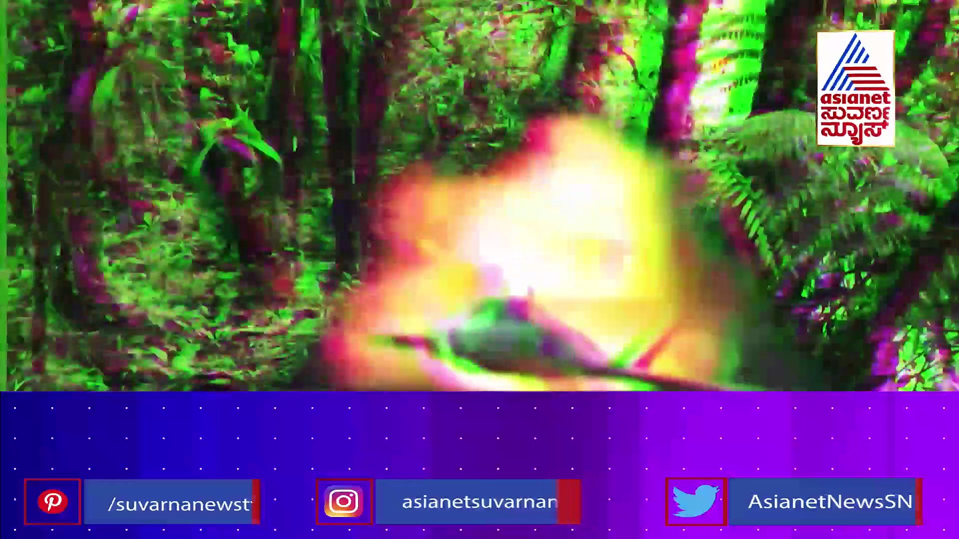 ಅಮೆಜಾನ್ ಕಾಡಲ್ಲಿ 4 ಮಕ್ಕಳು.. 40 ದಿನ: ವಿಮಾನ ದುರಂತದಲ್ಲಿ ಇವರು ಬದುಕಿದ್ದೇ ಒಂದು ಪವಾಡ..!