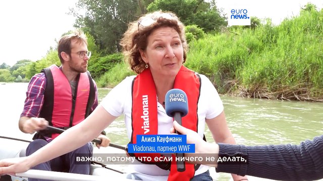 WWF призывает ЕС к скорейшему принятию закона о восстановлении природы