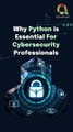 The Importance of Python for Cybersecurity Professionals